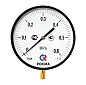 Манометр Росма ТМ-810Р.00 котловый, 250мм, 0-60кгс/см2, резьба M20x1,5, радиальный, класс точности 1,5 купить в Казани | "Проконсим"