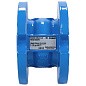 Клапан обр. осевой DN 100 PN 16  чуг/нерж. ств. фл. до 100гр. РИДАН NVD-402R 082X8474R купить в Казани | "Проконсим"
