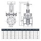 Задвижка чугунная 30ч6бр DN 100 PN 16(10) фланцевая параллельная ЛМЗ Семенов купить в Казани | "Проконсим"