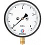 Манометр Росма ТМ-610Р 4,0 МПа /40 ат 150мм G1/2'' купить в Казани | "Проконсим"