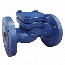 Клапаны обратные подъемные DN 15-200 PN 16 чугунные фланцевые до 250гр. АСТА ОК113 купить в Казани | "Проконсим"