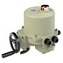 Электропривод ГЗ-ОФ- 300/28М 220В 300Нм ISO F10-22