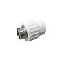 Муфта комбинированная ПП 20-1/2'' PN 25 с наружной резьбой белая VALFEX Pro купить в Казани | "Проконсим"