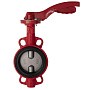 Затвор дисковый поворотный DN 150 PN 16 межфланцевый с диском из чугуна уплотнение-EPDM ручной Рашворк 200 купить в Казани | "Проконсим"