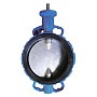 Затворы поворотные дисковые DN 200-800 PN 16 межфланцевые с голым штоком Seagull купить в Казани | "Проконсим"