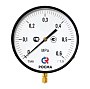 Манометр Росма ТМ-810Р.00 котловый, 250мм, 0-0.25МПа, резьба M20x1,5, радиальный, класс точности 1,5 купить в Казани | "Проконсим"