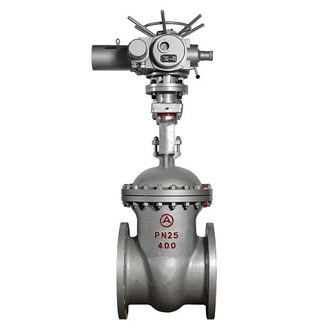 Задвижка стальная 30с964нж DN 600 PN 25 фланцевая под привод тип Г, класс ''А'' L=800мм САЗ АВАНГАРД купить в Казани | "Проконсим"