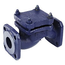 Клапаны обратные 16кч9нж подъёмные DN32-80 PN25 нержавеющая сталь фланцевые до 300гр. ЛУИДОР купить в Казани | "Проконсим"