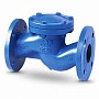 Клапан обратный подъемный фланцевый FAF 2250, DN 100, PN 16 корпус-чугун, диск-нержавеющаясталь, уплотнение-нержавеющая сталь купить в Казани | "Проконсим"