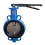 Затвор дисковый поворотный DN 150 PN 16 межфланцевый с диском из чугуна уплотнение-NBR ручной Seagull купить в Казани | "Проконсим"