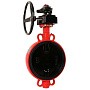 Затвор дисковый поворотный DN 150 PN 16 межфланцевый с концевым выключателем и чугунным диском уплотнение-EPDM с редуктором РАШВОРК 200-150-16-П.02 купить в Казани | "Проконсим"